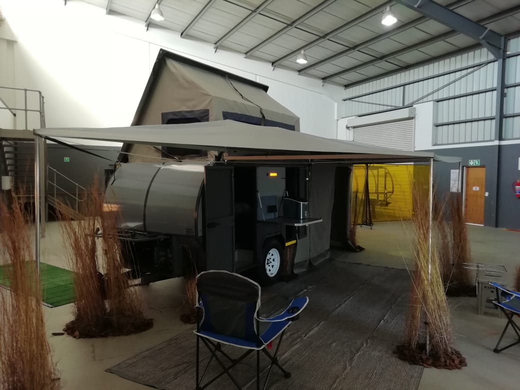 Lion's Cub - 3 sleepwer